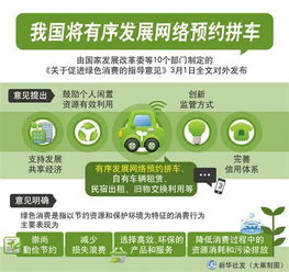 绿色消费积分制：中国迈向节能型家电普及的新路径